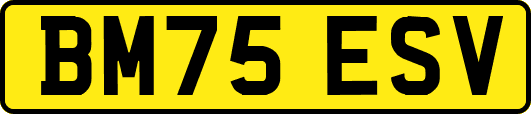 BM75ESV