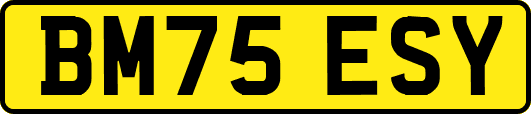 BM75ESY