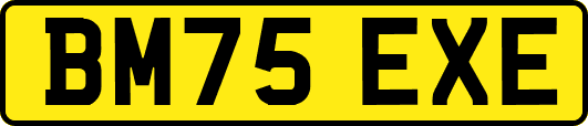 BM75EXE