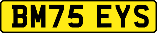 BM75EYS