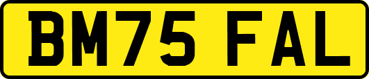 BM75FAL