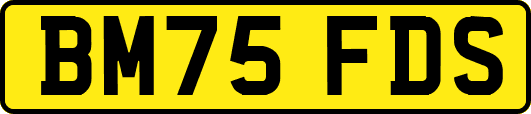 BM75FDS