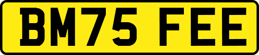 BM75FEE