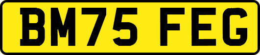 BM75FEG