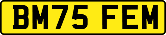 BM75FEM