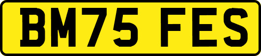 BM75FES