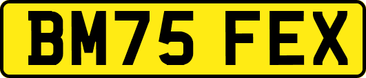 BM75FEX