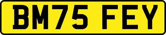 BM75FEY