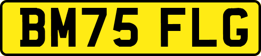 BM75FLG