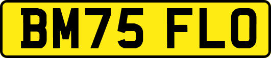 BM75FLO