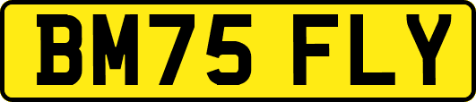 BM75FLY
