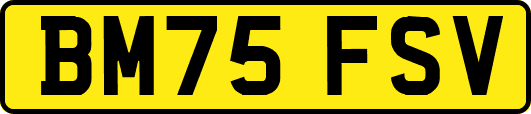 BM75FSV