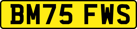 BM75FWS