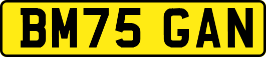 BM75GAN
