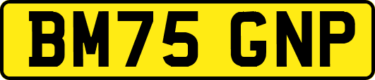 BM75GNP
