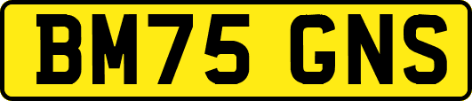 BM75GNS