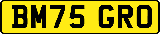 BM75GRO