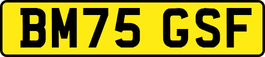 BM75GSF