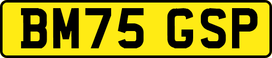 BM75GSP