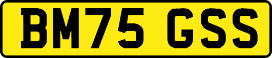 BM75GSS