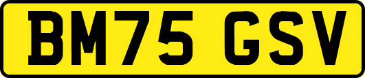 BM75GSV