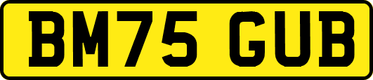 BM75GUB