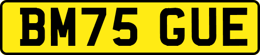 BM75GUE