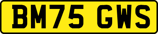 BM75GWS