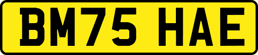 BM75HAE
