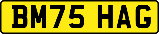 BM75HAG
