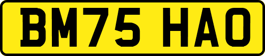 BM75HAO