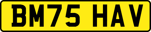 BM75HAV