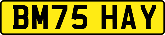 BM75HAY