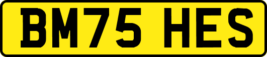 BM75HES