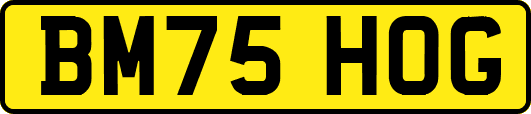 BM75HOG