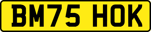BM75HOK
