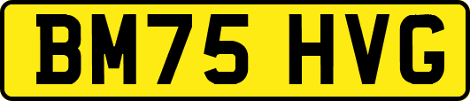 BM75HVG