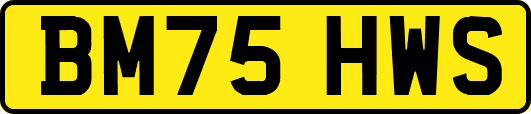 BM75HWS