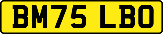 BM75LBO