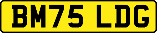 BM75LDG