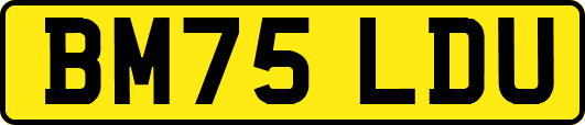 BM75LDU