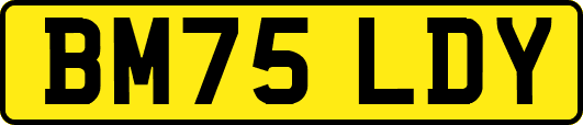 BM75LDY