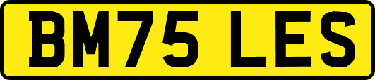 BM75LES