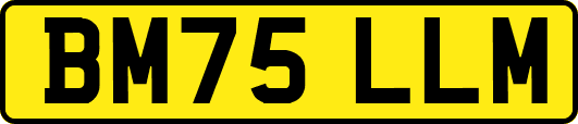 BM75LLM