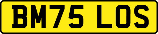 BM75LOS