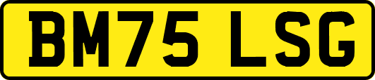 BM75LSG