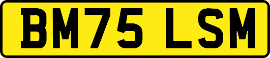 BM75LSM