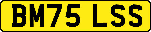 BM75LSS