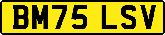 BM75LSV