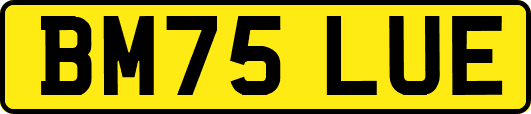 BM75LUE